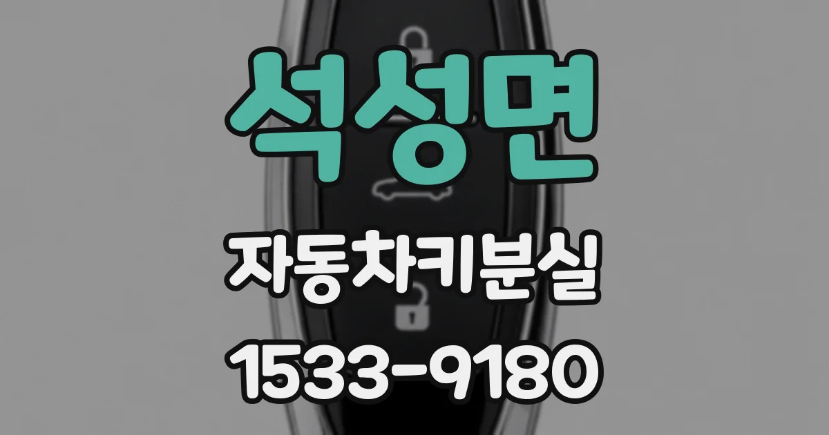 석성면 자동차키분실