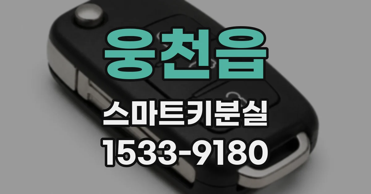 웅천읍 스마트키분실