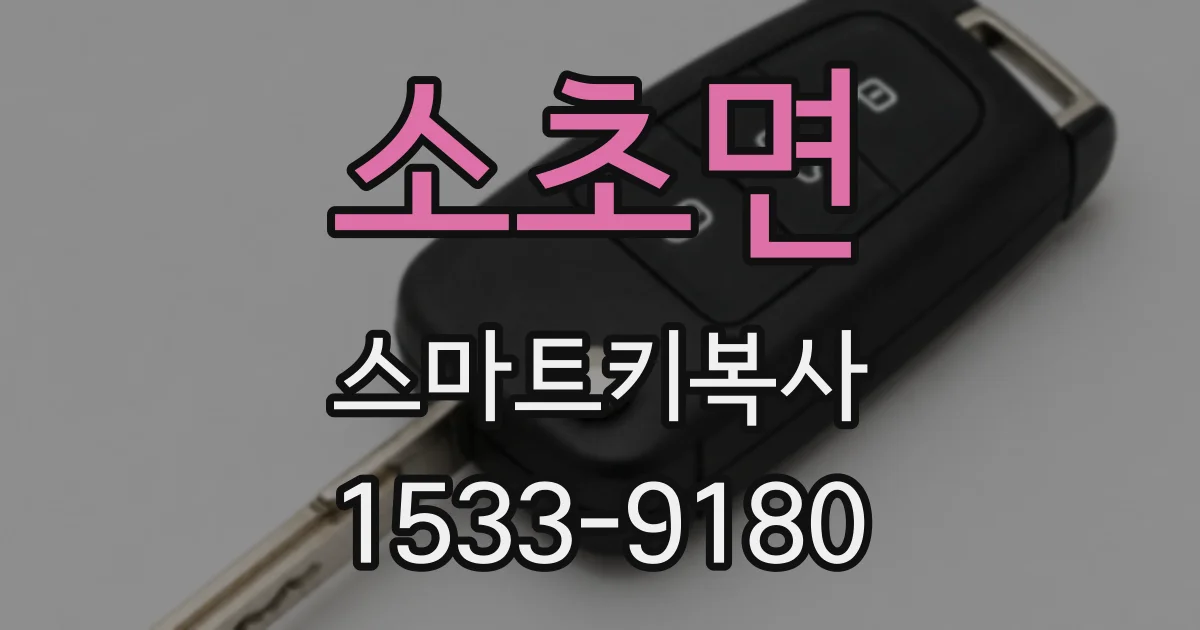 소초면 스마트키복사