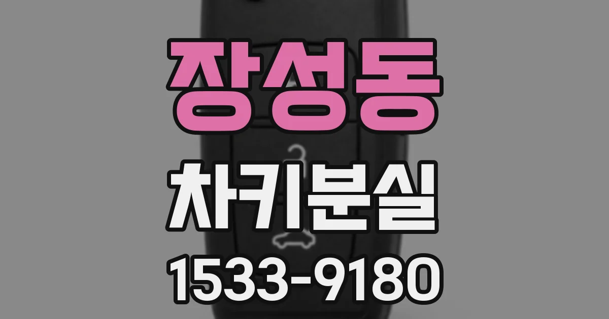 장성동 차키분실