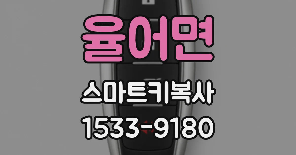 율어면 스마트키복사
