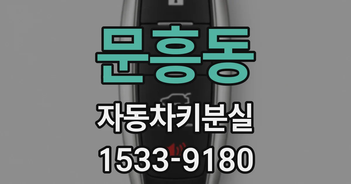 문흥동 자동차키분실