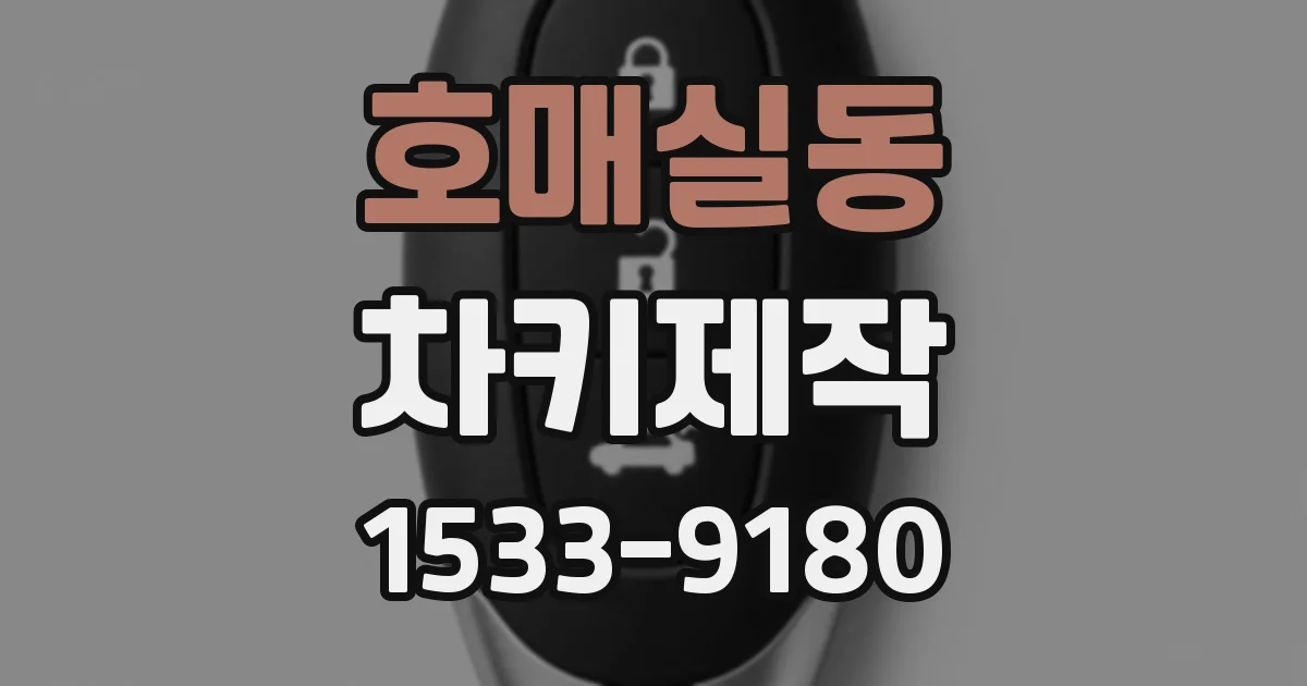 호매실동 차키제작
