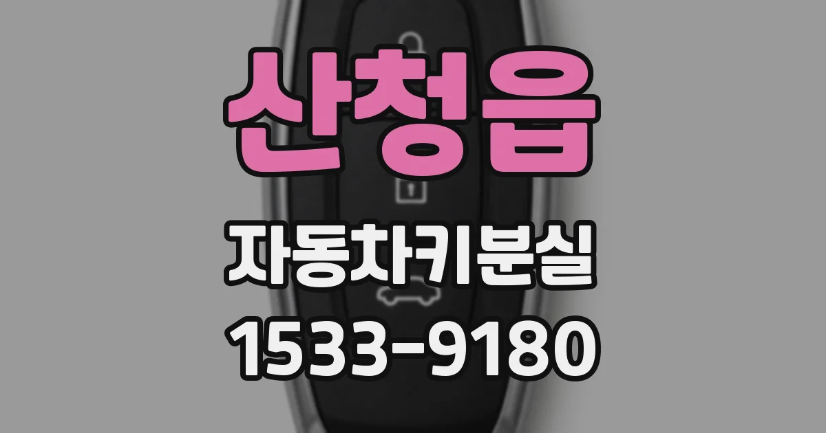 산청읍 자동차키분실