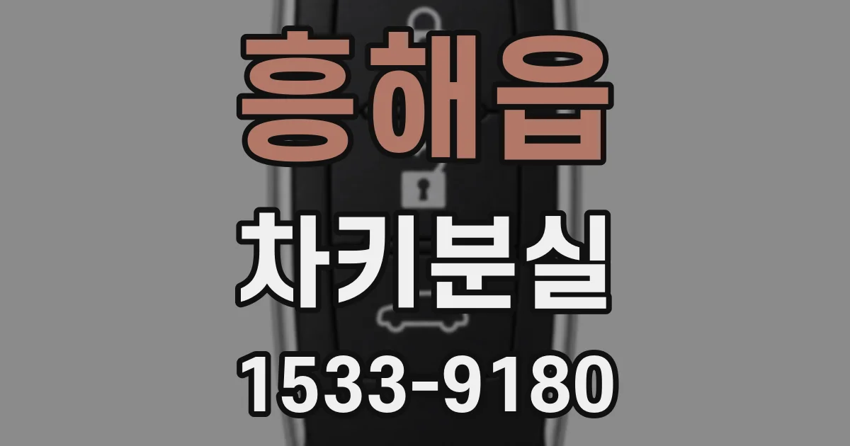흥해읍 차키분실