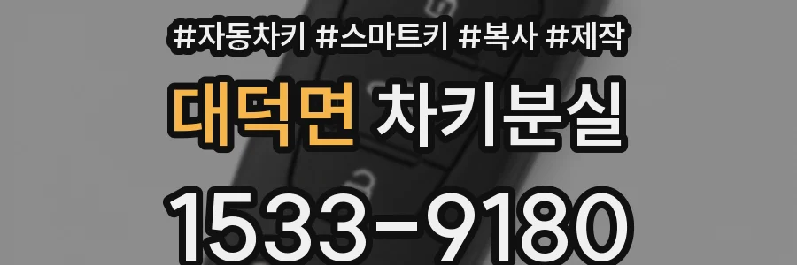 대덕면 차키분실