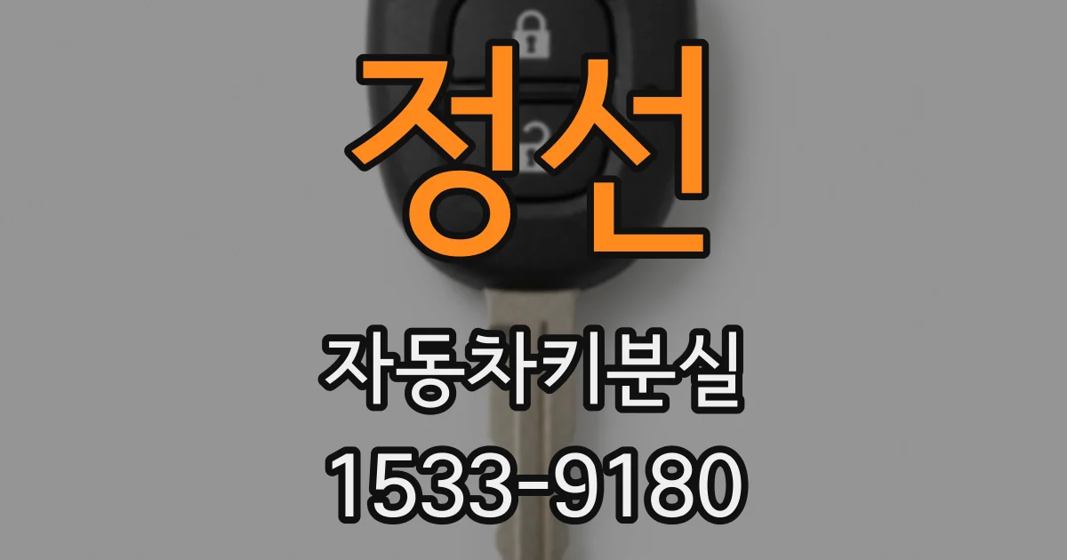 정선 자동차키분실