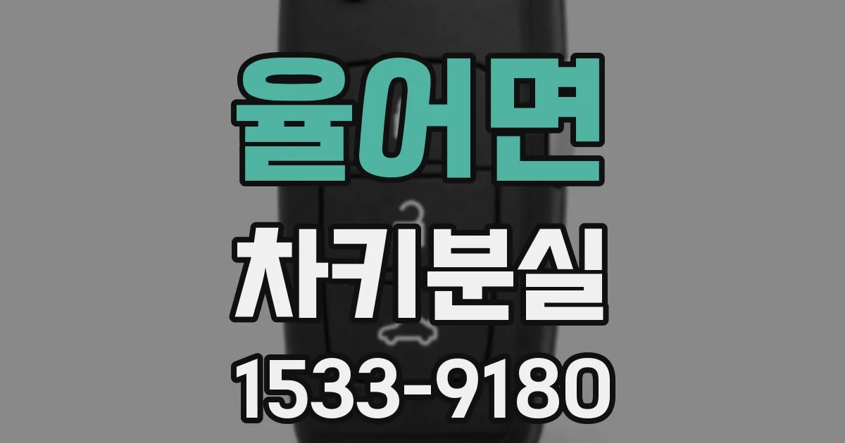 율어면 차키분실