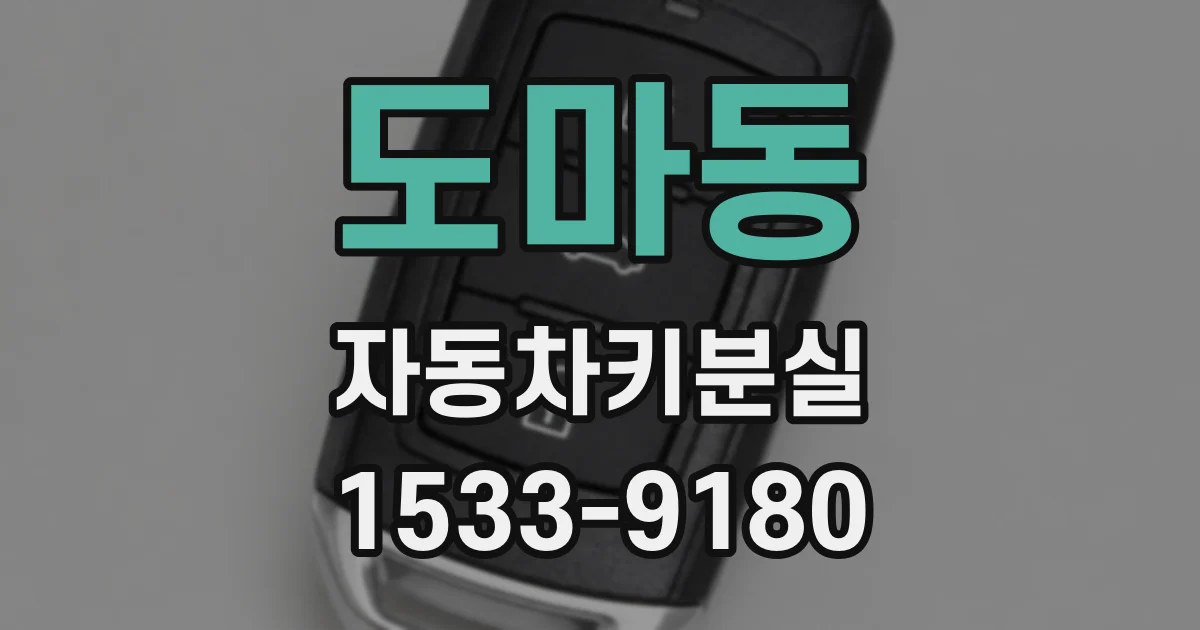 도마동 자동차키분실