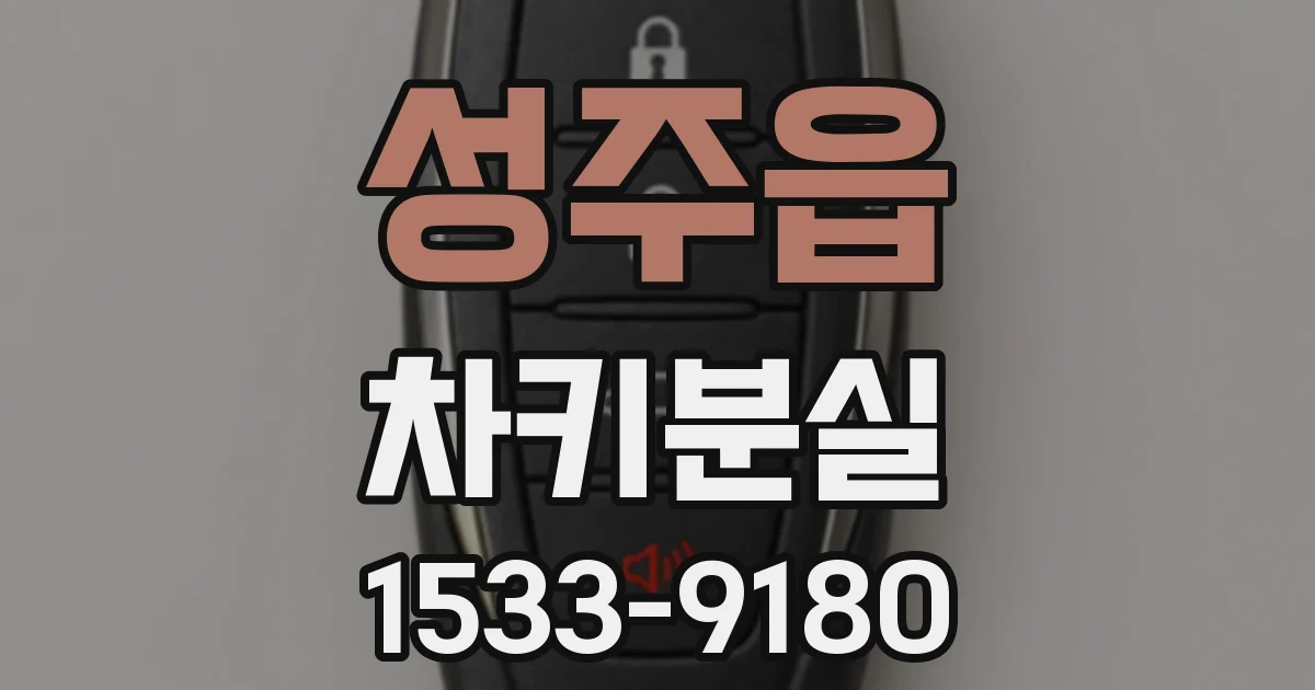성주읍 차키분실