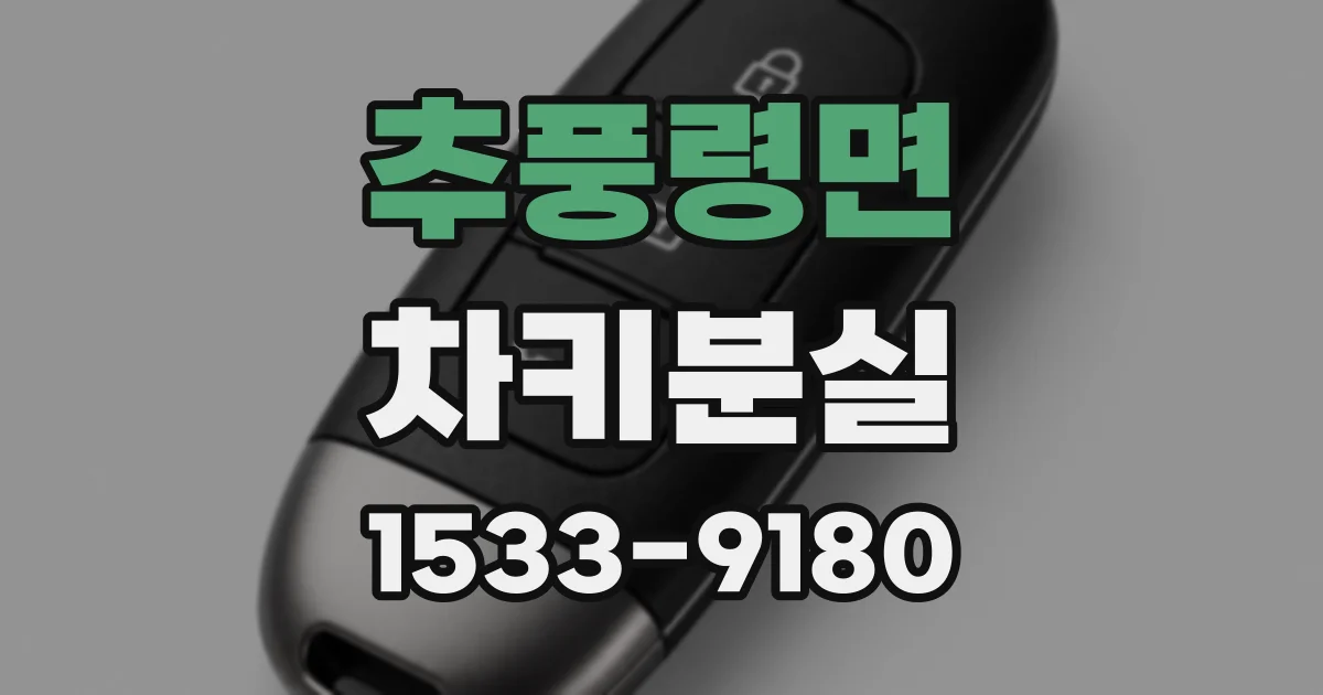 추풍령면 차키분실