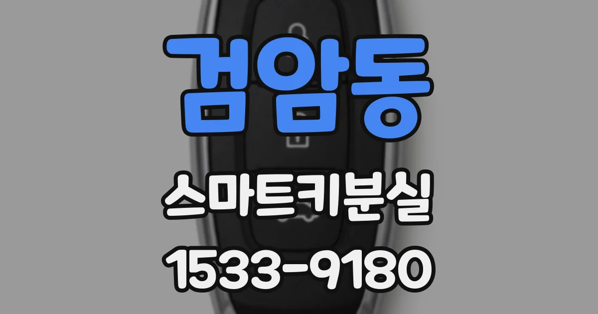 검암동 스마트키분실