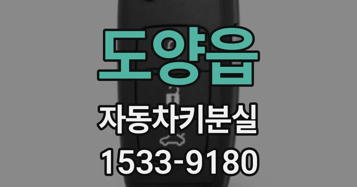 도양읍 자동차키분실