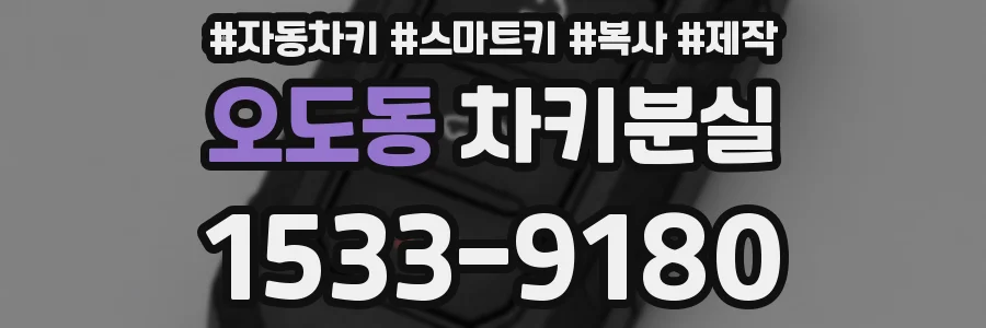 오도동 차키분실
