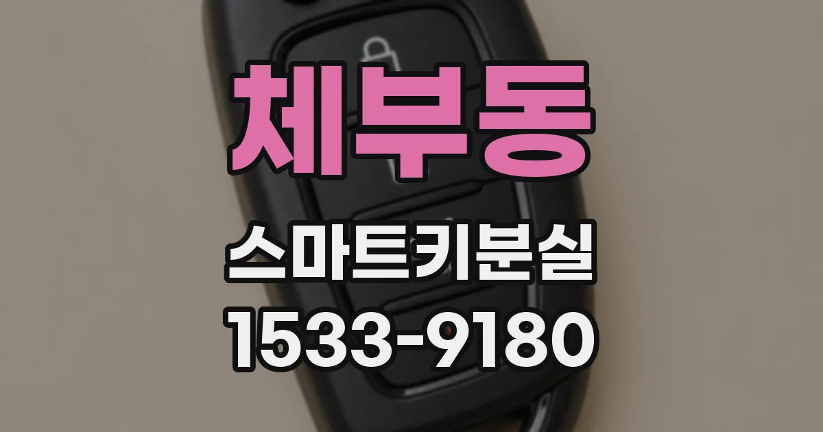 체부동 스마트키분실