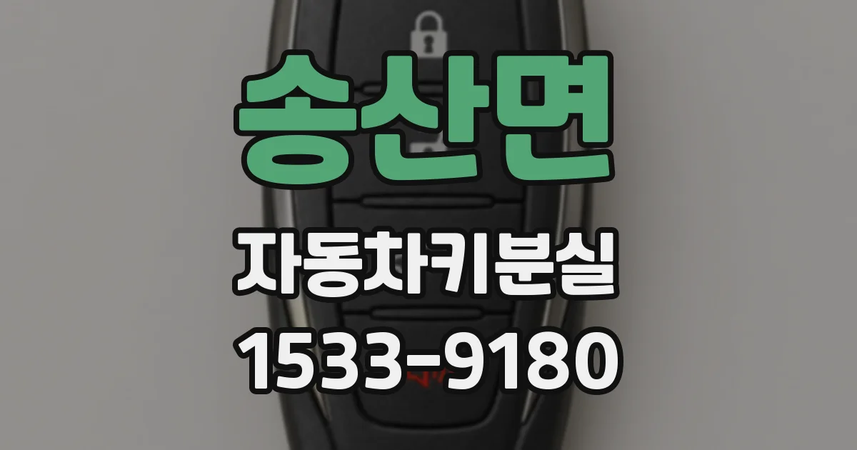 송산면 자동차키분실