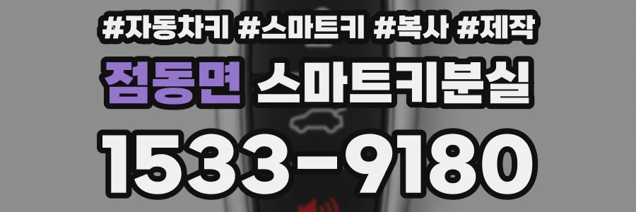 점동면 스마트키분실
