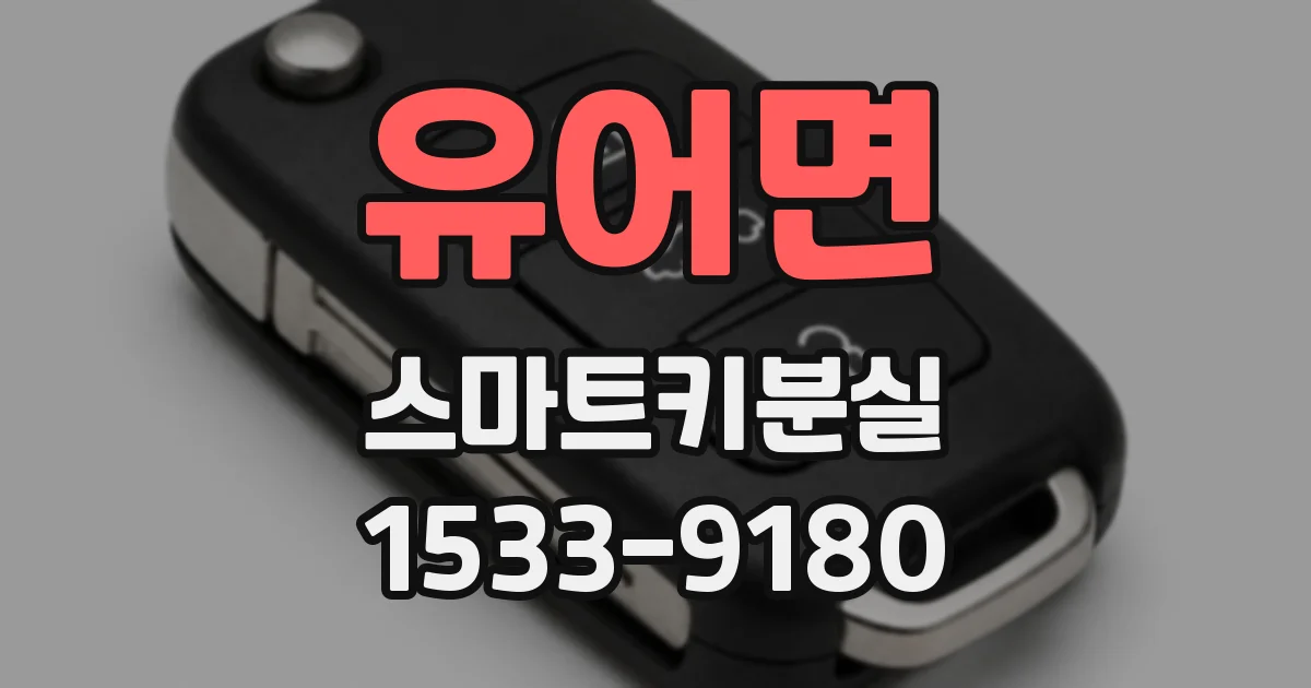 유어면 스마트키분실