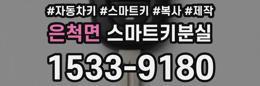 은척면 스마트키분실