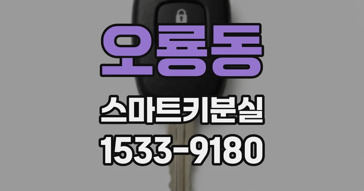 오룡동 스마트키분실