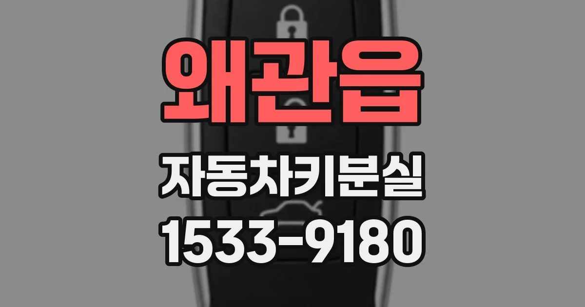 왜관읍 자동차키분실
