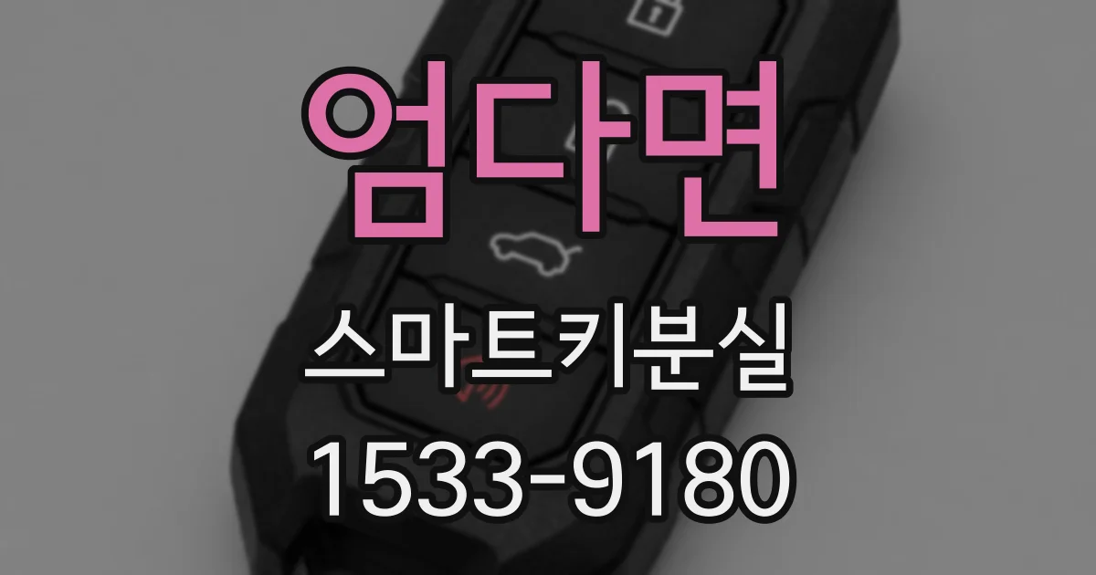 엄다면 스마트키분실