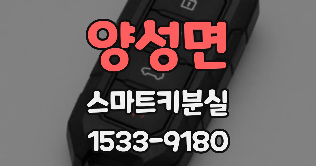 양성면 스마트키분실