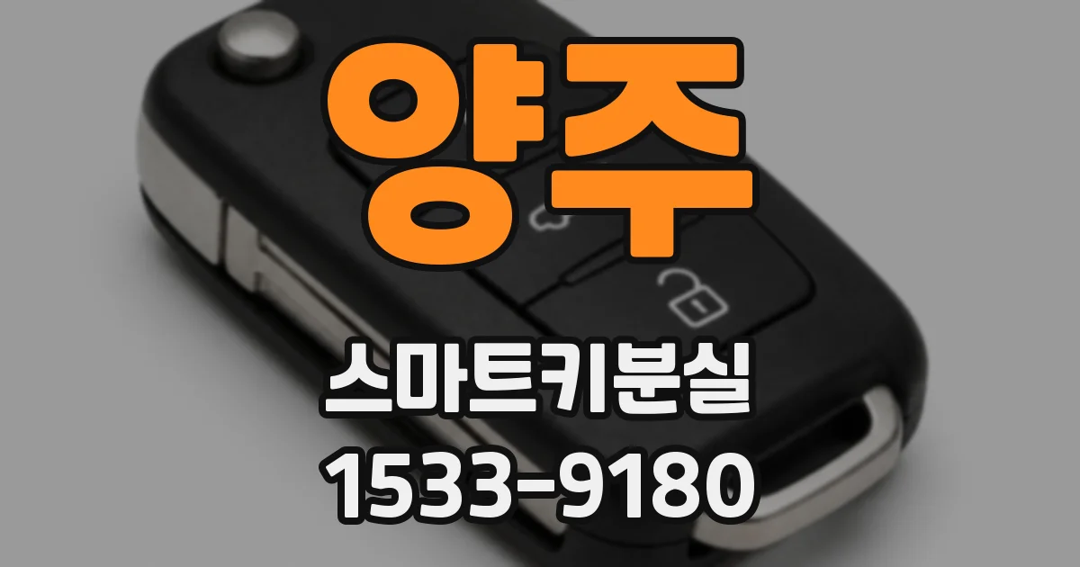 양주 스마트키분실