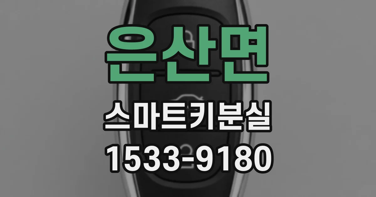은산면 스마트키분실