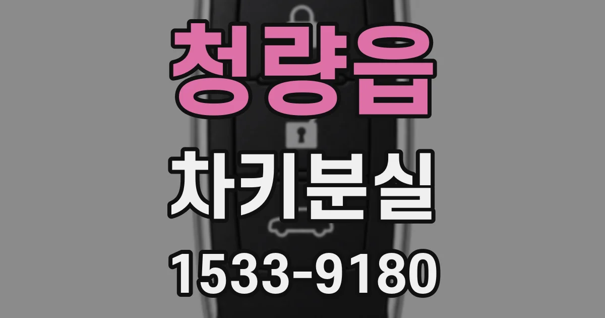 청량읍 차키분실
