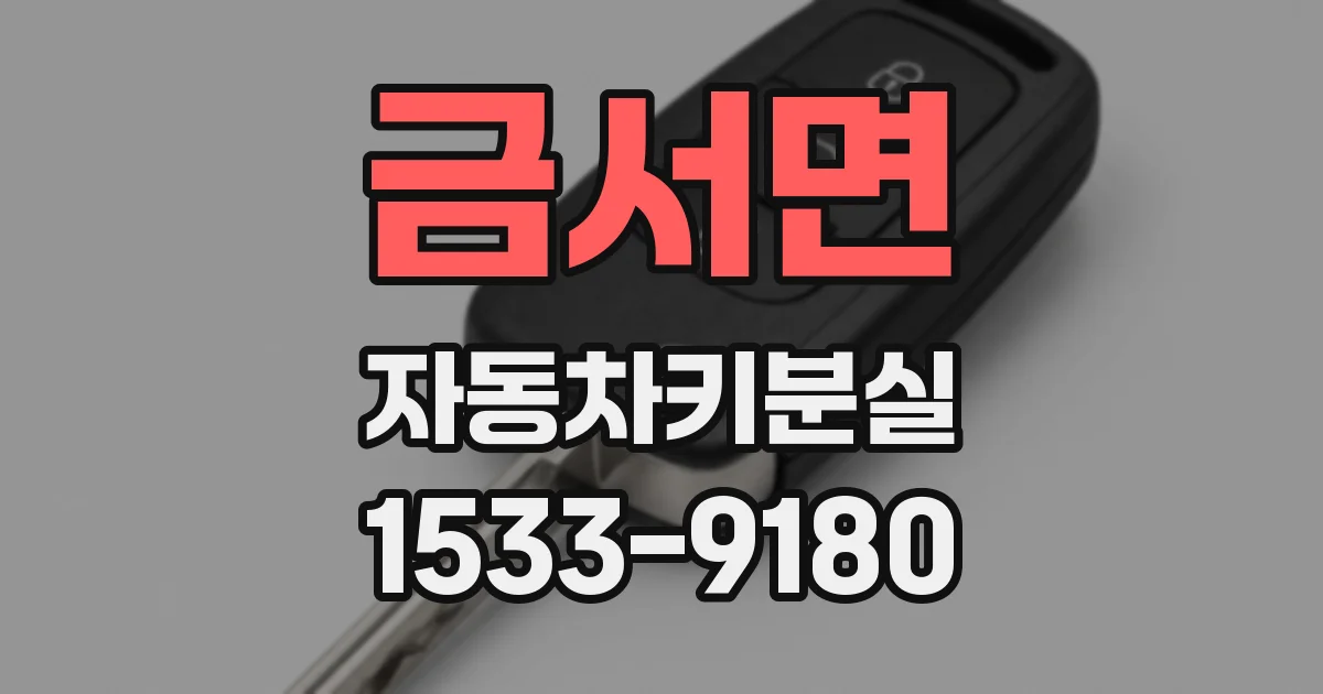 금서면 자동차키분실