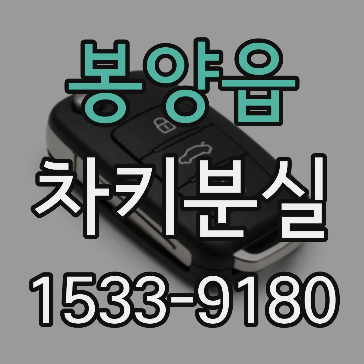 봉양읍 차키분실