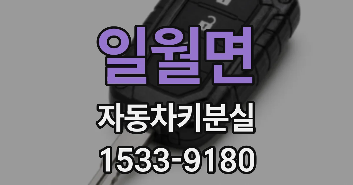 일월면 자동차키분실