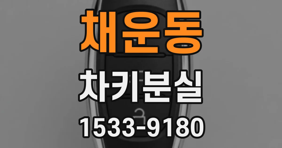 채운동 차키분실