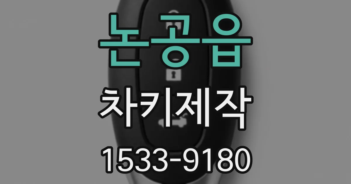 논공읍 차키제작