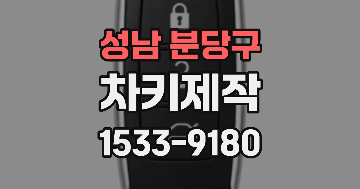 성남 분당구 차키제작