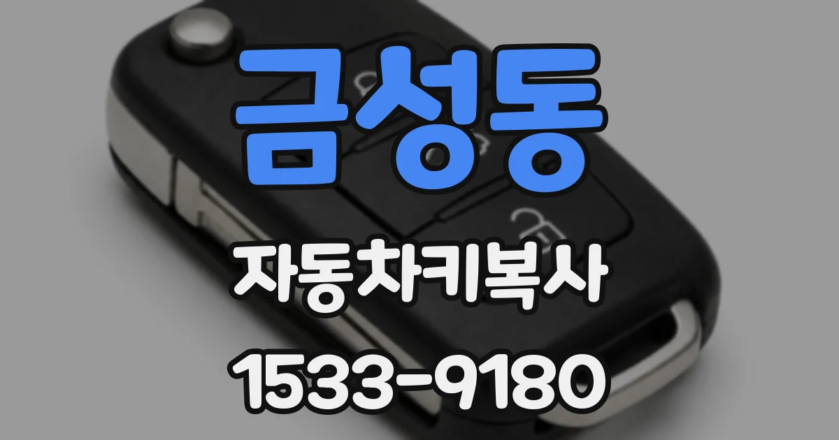 금성동 자동차키복사