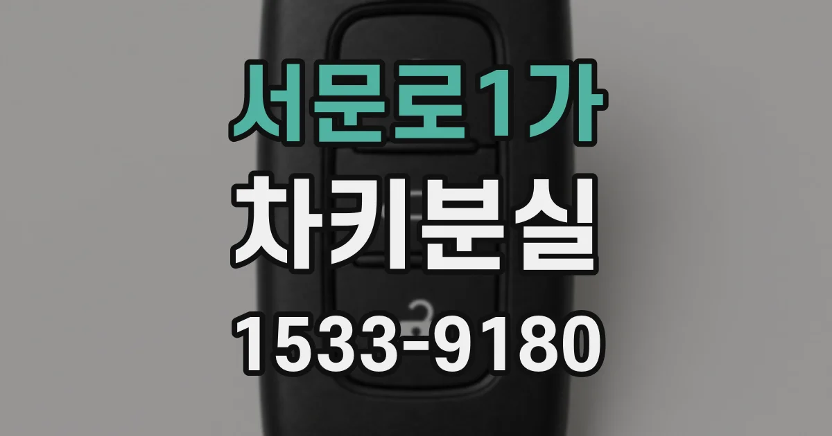 서문로1가 차키분실