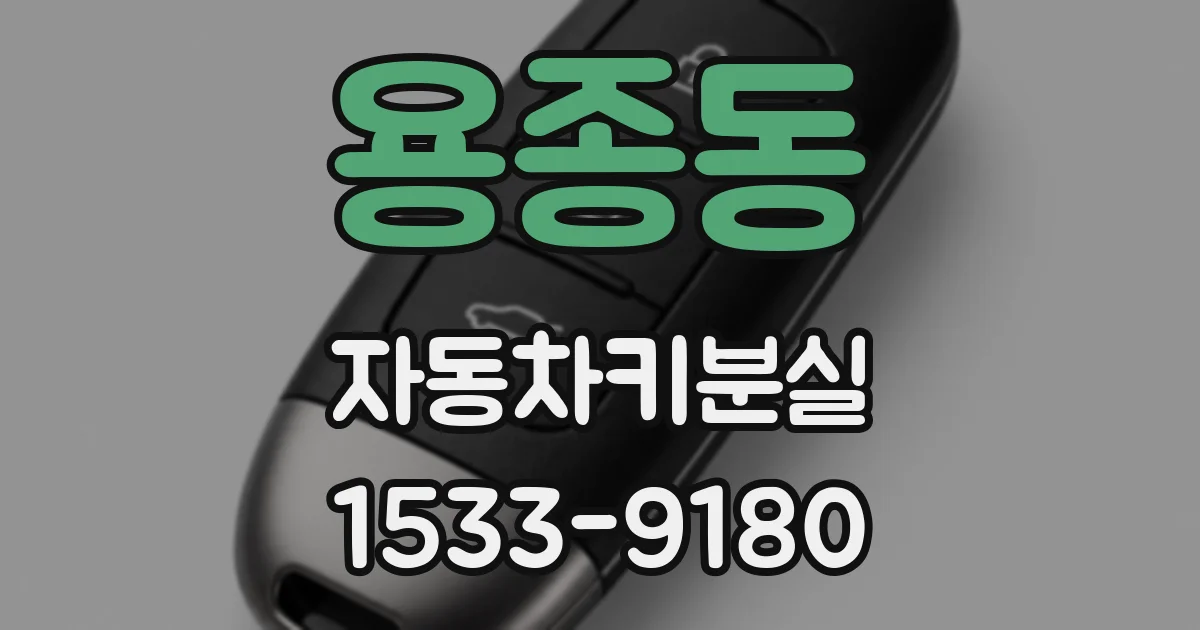 용종동 자동차키분실