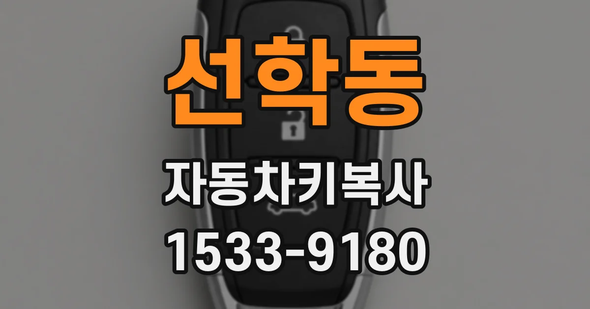 선학동 자동차키복사