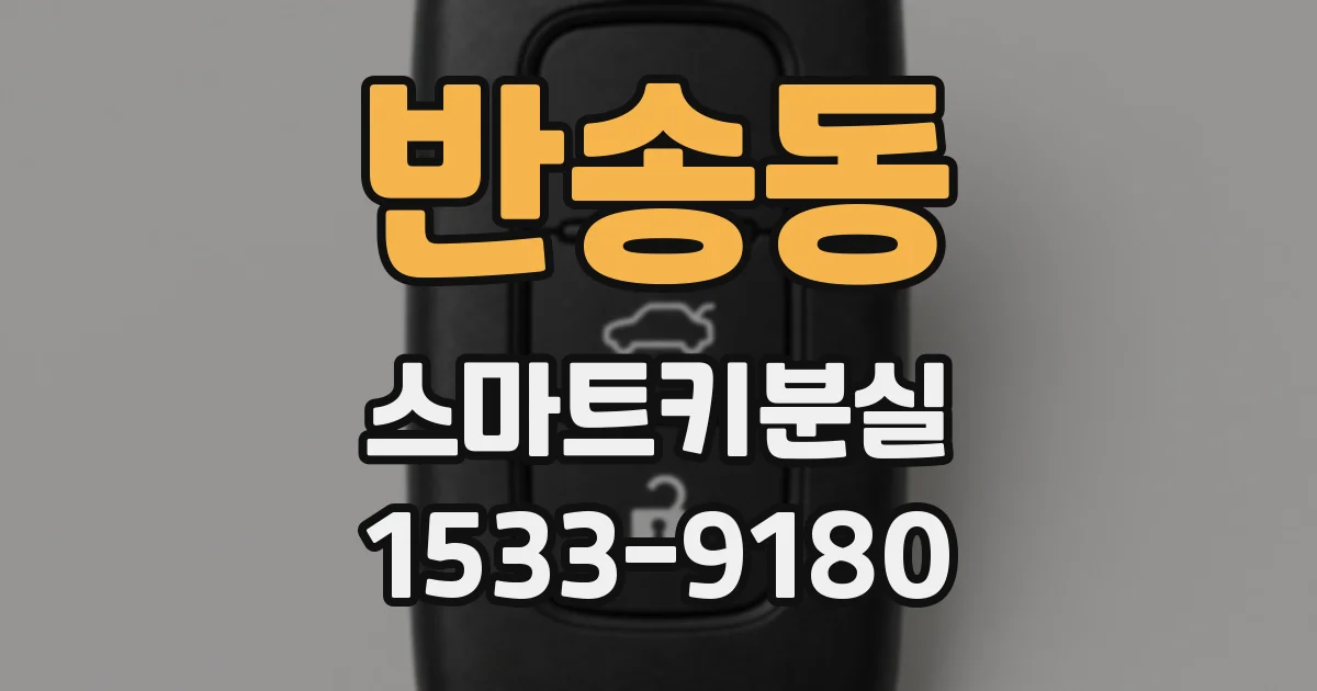 반송동 스마트키분실