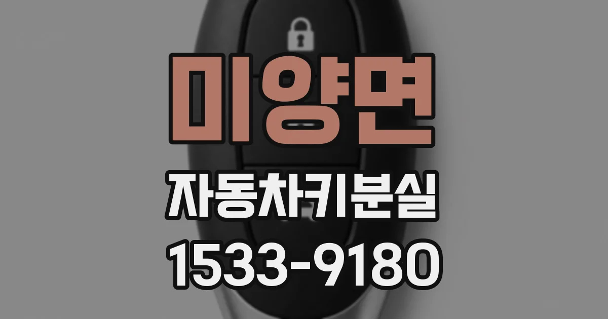 미양면 자동차키분실
