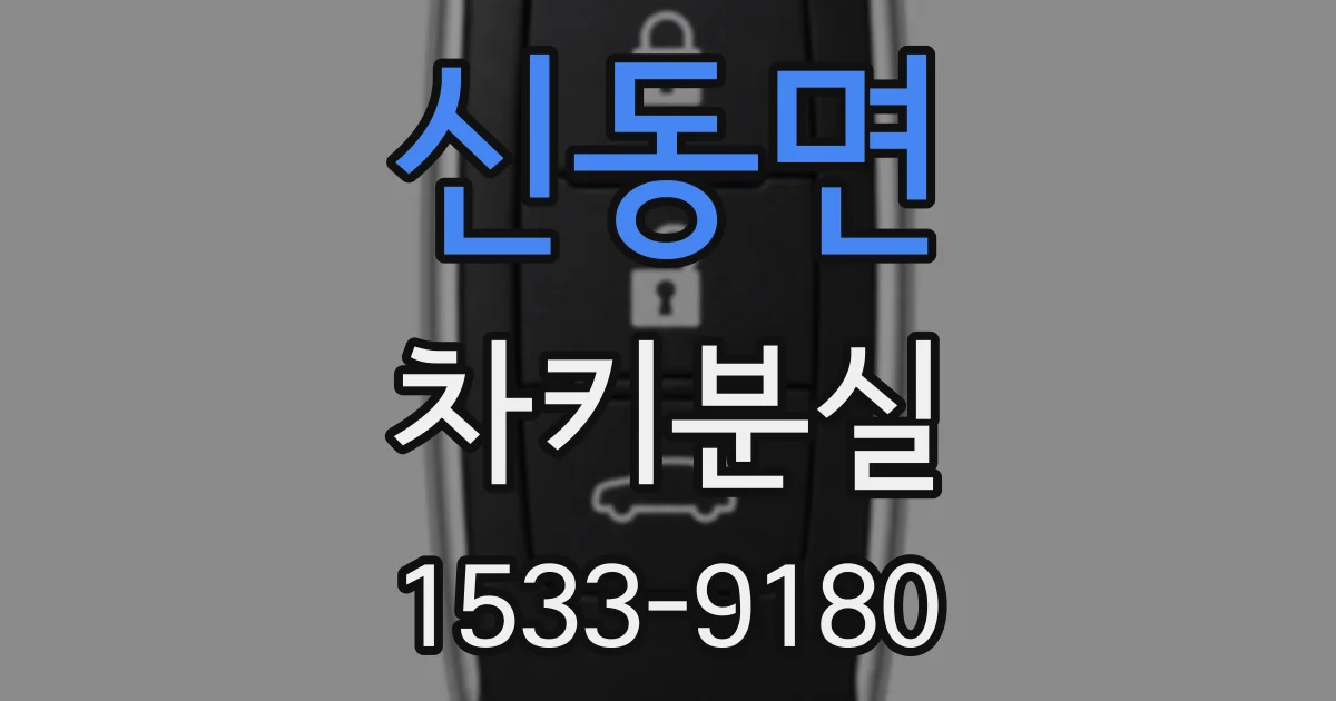 신동면 차키분실