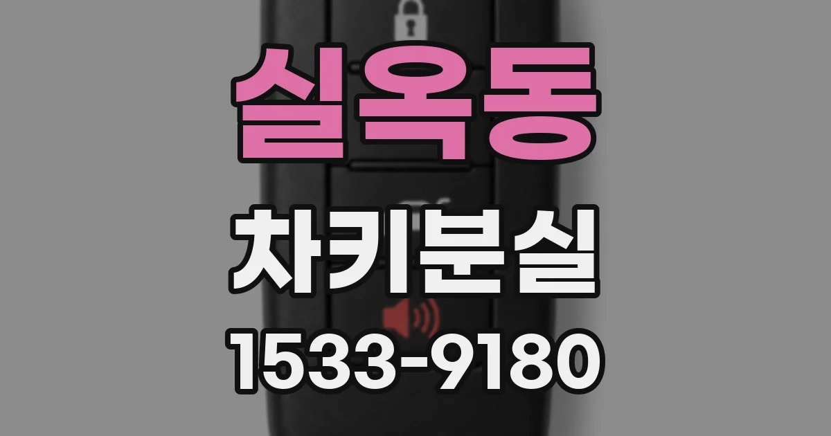 실옥동 차키분실