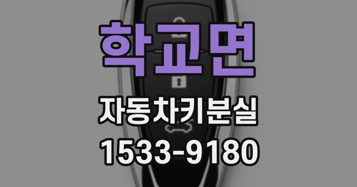 학교면 자동차키분실