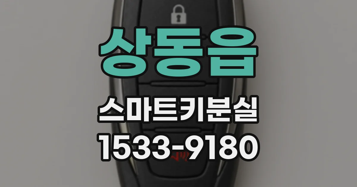 상동읍 스마트키분실