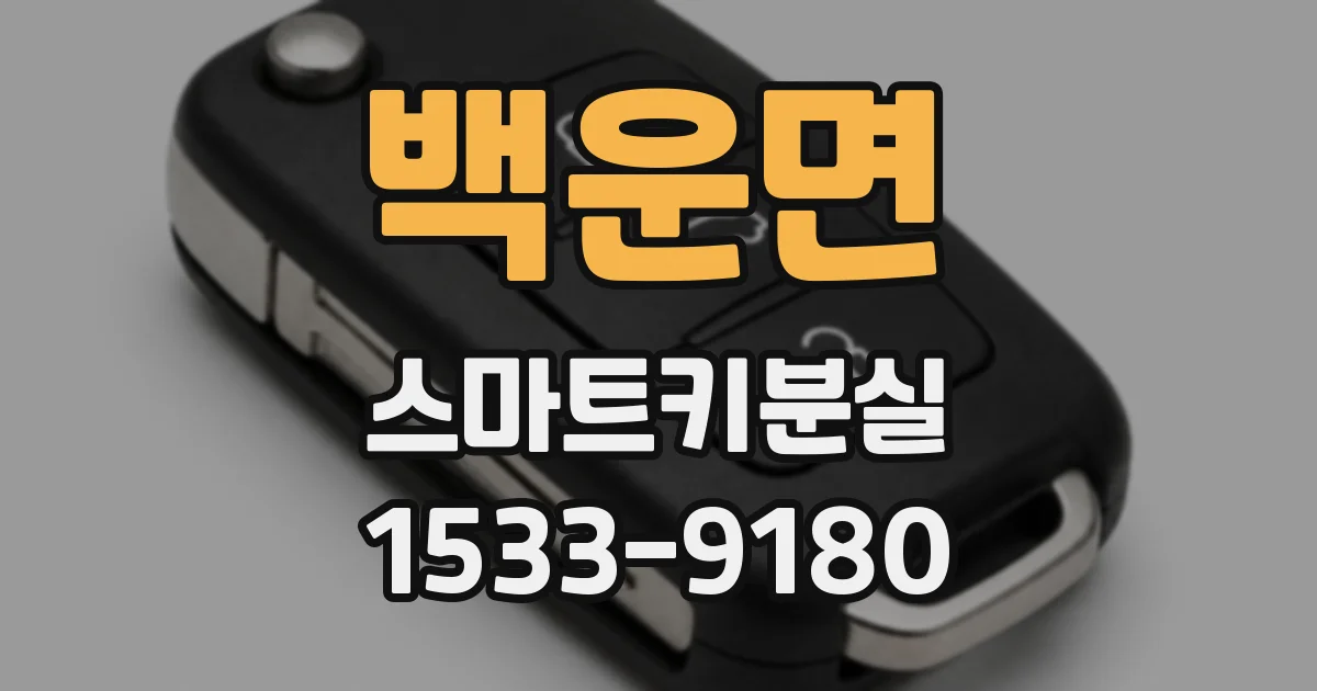 백운면 스마트키분실