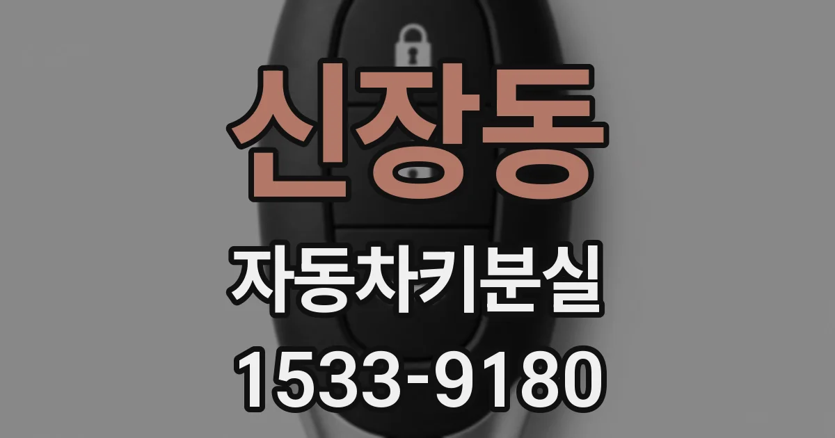 신장동 자동차키분실
