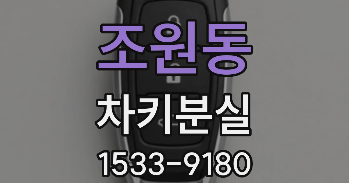 조원동 차키분실