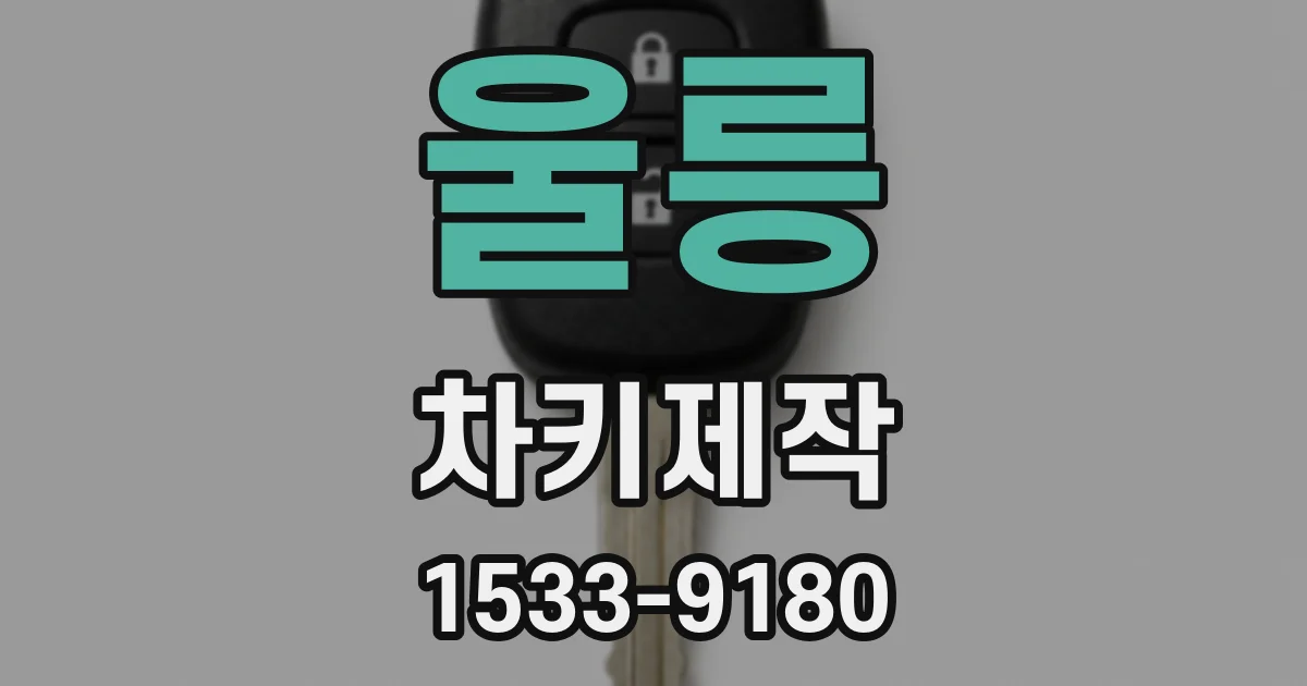 울릉 차키제작